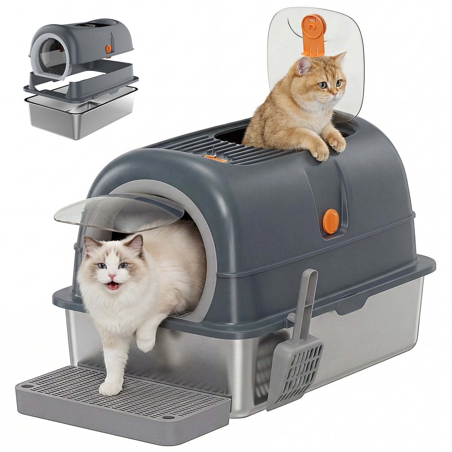 Pet litter box with two cats inside on a white background