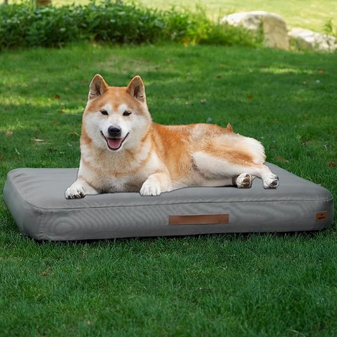 Inflatable Travel Dog Bed | Portable & Waterproof | My Petssion