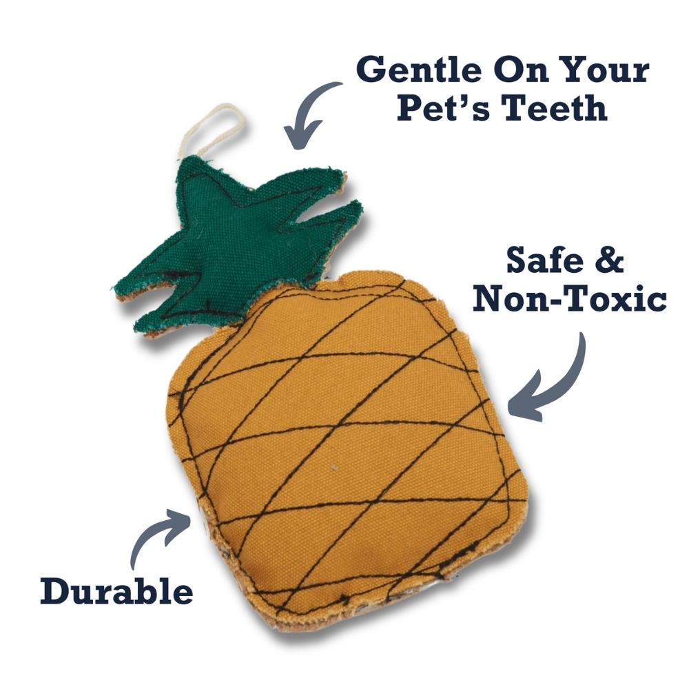 Pineapple Canvas & Jute Dog Chew Toy