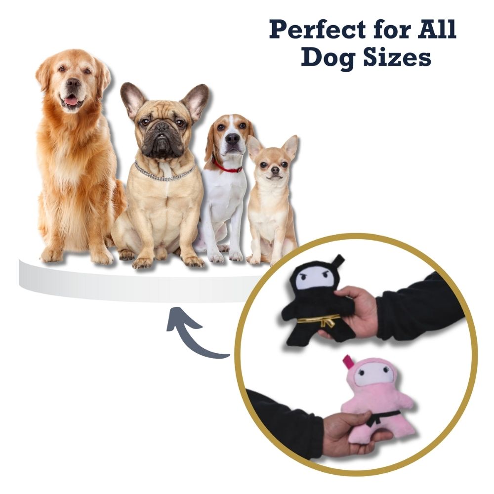 Pink & Black Ninja Plush Dog Toy Set
