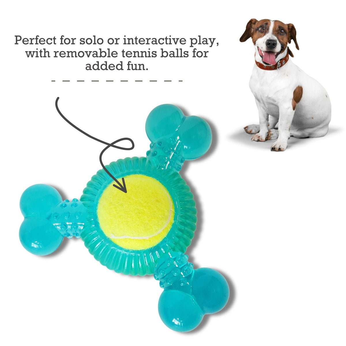 3-Bone TPR Dog Chew Toy with Squeaker Balls