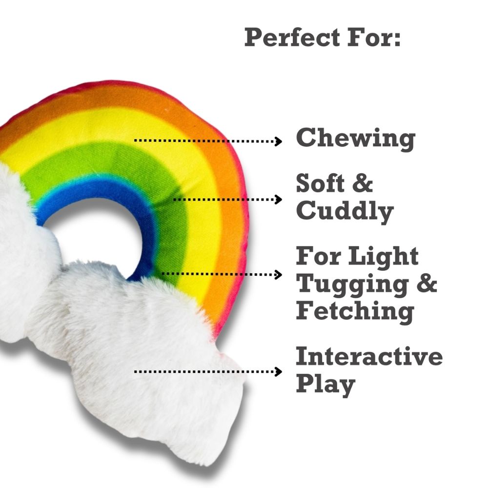 Magical Rainbow Plush Dog Toy, 11 x 8 in