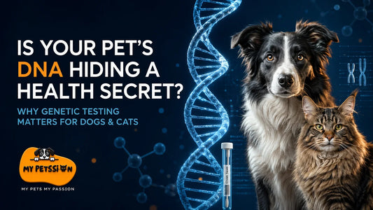 My Petssion banner featuring a Border Collie and Maine Coon beside a glowing DNA helix and cheek swab for a guide to pet genetic health testing.