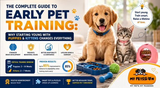 Pregnant dog and cat resting comfortably, illustrating pet behavior changes during pregnancy