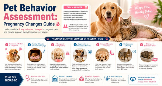 Pregnant dog and cat resting comfortably — guide to pet behavior changes during pregnancy by My Petssion