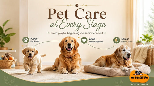 Pet age-stage care guide banner – puppy, adult, and senior dog and cat care tips by My Petssion