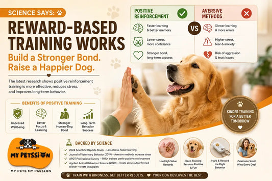 Positive Reinforcement vs. Aversive Training: What the Latest Science Says About How Dogs Learn Best