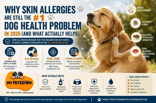 Infographic explaining why skin allergies remain the number one dog health problem in 2026, including common causes, US and Australia statistics, treatment options, prevention tips, and early signs of allergic skin disease.