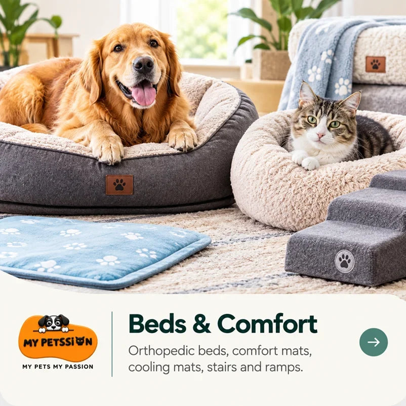 Golden retriever relaxing in an orthopedic dog bed beside a cat in a cozy cat bed, with a cooling mat and pet stairs