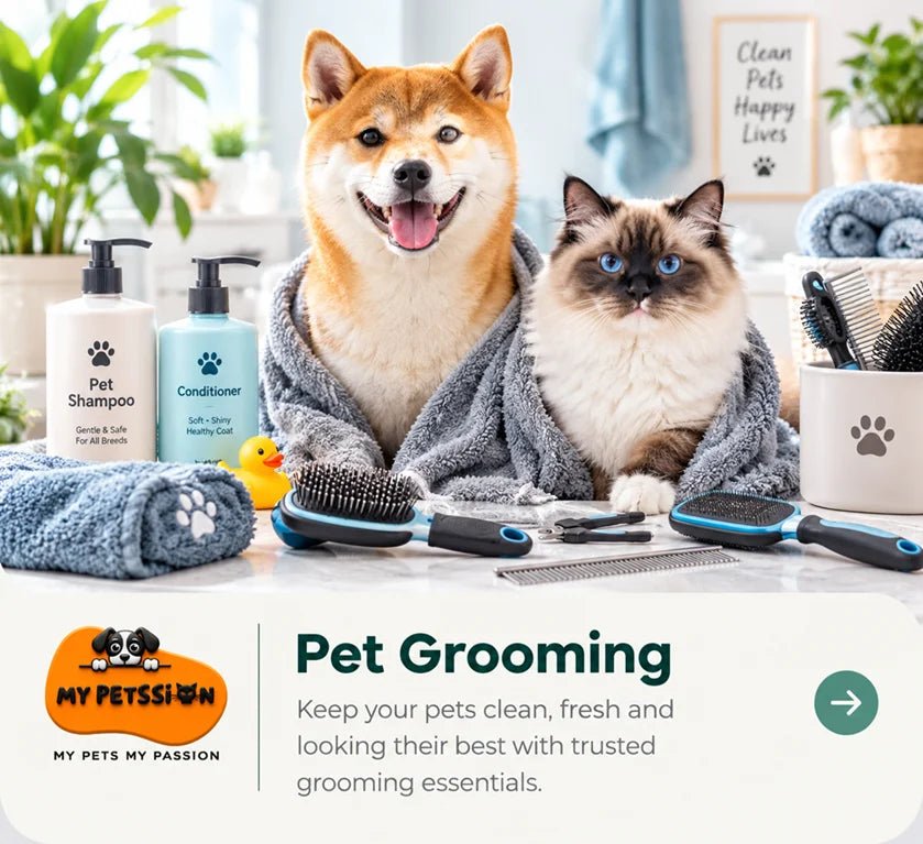 Shiba Inu and fluffy cat wrapped in soft towels, surrounded by pet shampoos, conditioners, grooming brushes, combs, and nail clippers for everyday pet grooming and coat care.