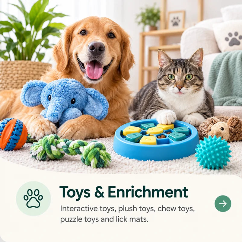 Dog and cat with interactive pet toys, plush toys, chew toys, and a puzzle feeder for enrichment