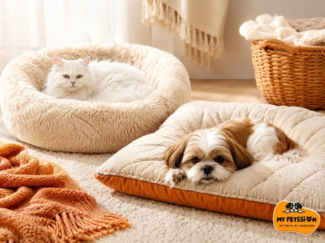 Pet beds and comfort collection — orthopedic and plush dog beds