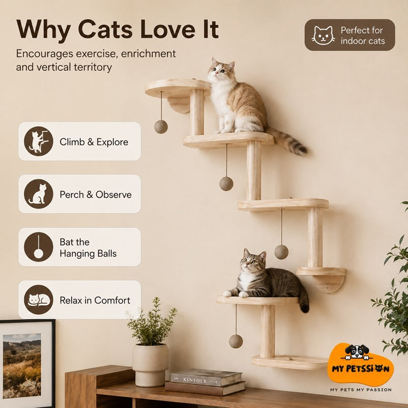 DIY Modular Cat Wall Climbing Frame