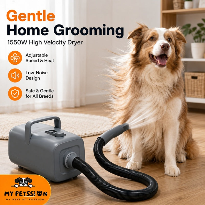 1550W High Velocity Pet Blow Dryer with Heater – Adjustable Speed & Temperature Dog Grooming Dryer with 4 Nozzles, Low-Noise Pet Hair Blower for Cats, Dogs & Thick Coats – Grey or White