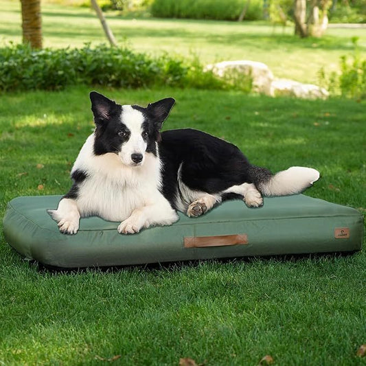 Inflatable travel dog bed portable waterproof camping mat for dogs