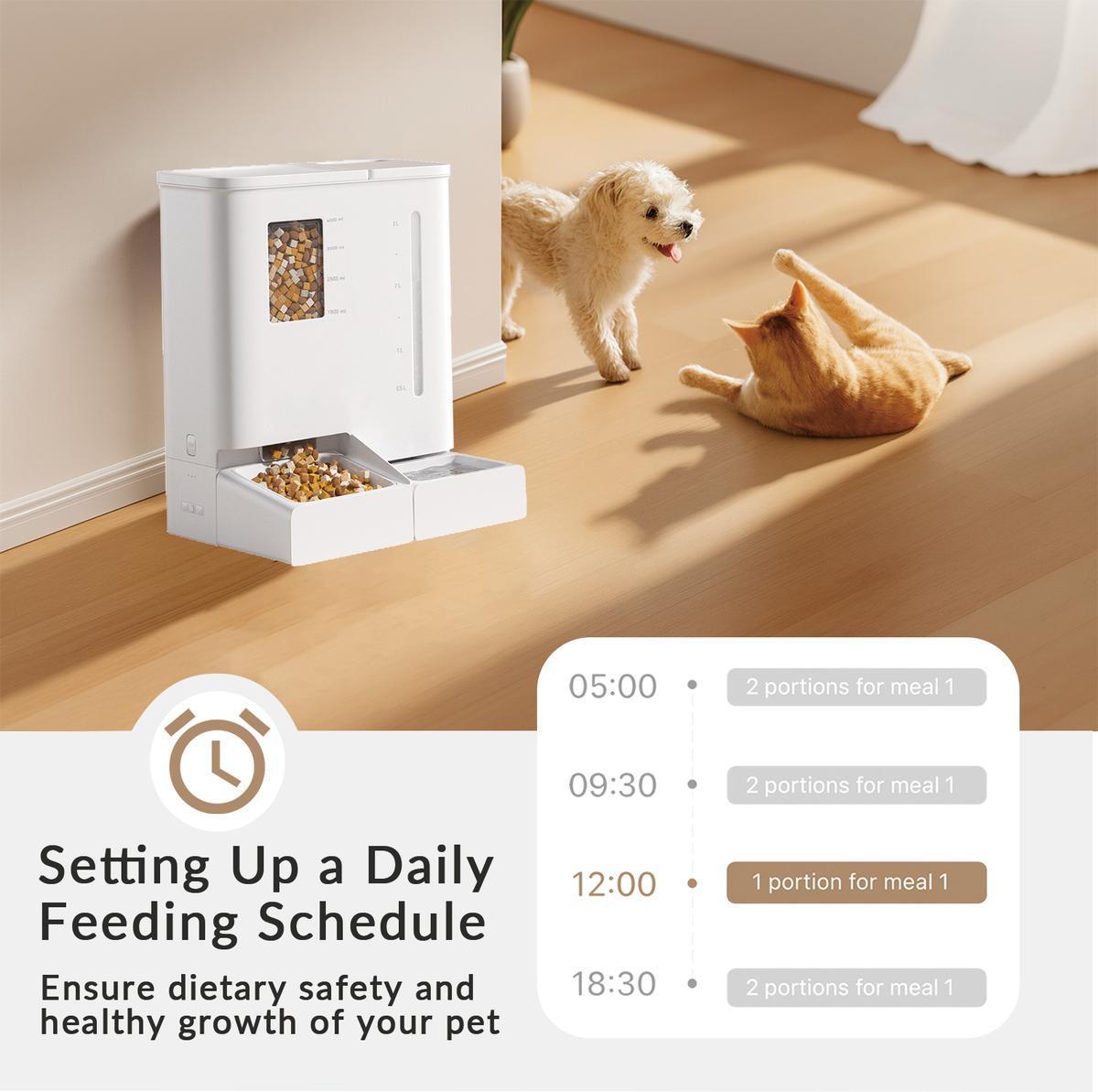 Automatic cat feeder with daily feeding schedule displayed, showing portion control at four meal times throughout the day.