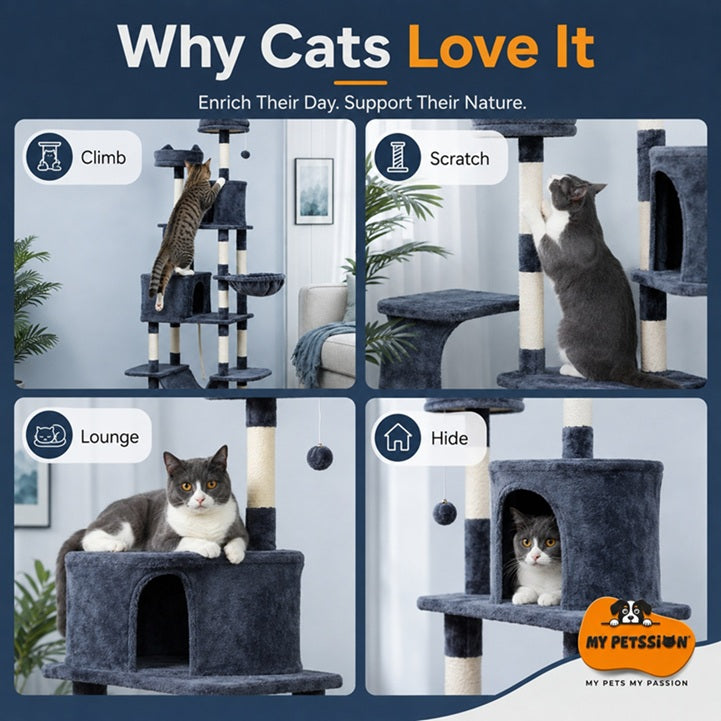 Cat tree with multiple features like climb, scratch, lounge, and hide, with text 'Why Cats Love It' and 'My Pet's Passion' logo.