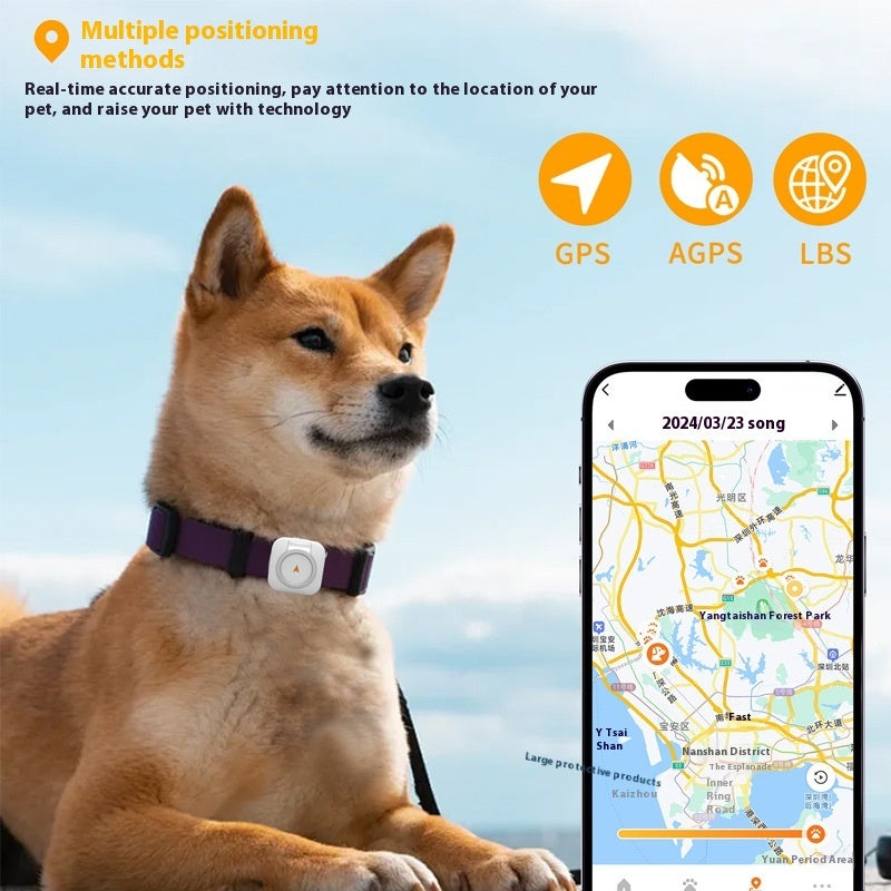 Dog wearing a GPS collar with a phone displaying a map, against a clear blue sky.