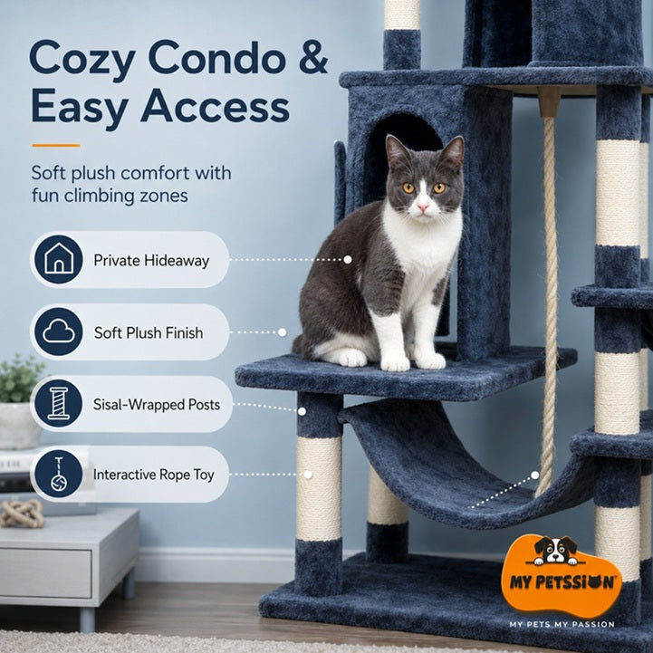 Cat sitting on a blue cat tree with features highlighted, branded 'My Pet'sion'.