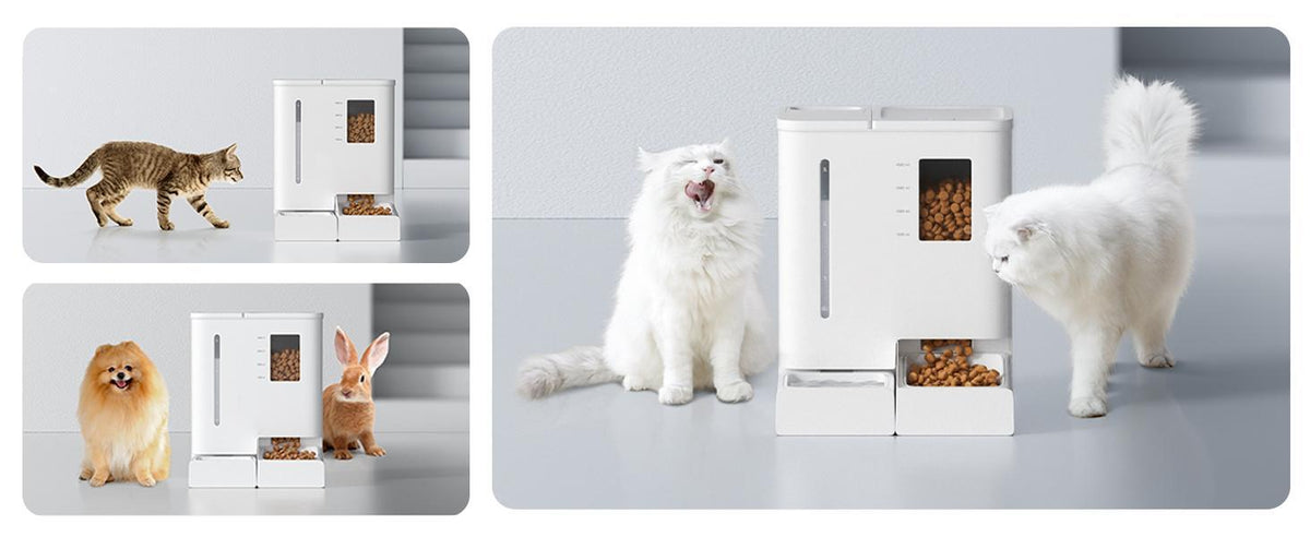 Automatic cat feeder and waterer with dual dispensers shown in use with multiple pets including cats, dog, and rabbit in a cl