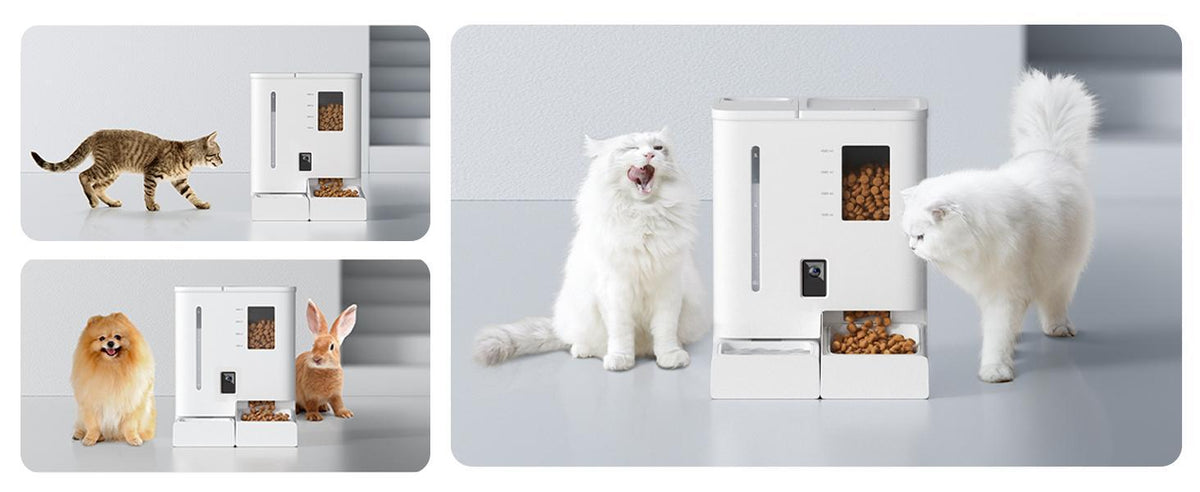 Automatic cat feeder and waterer with dual food and water dispensers, shown with white and brown pets in modern white design.