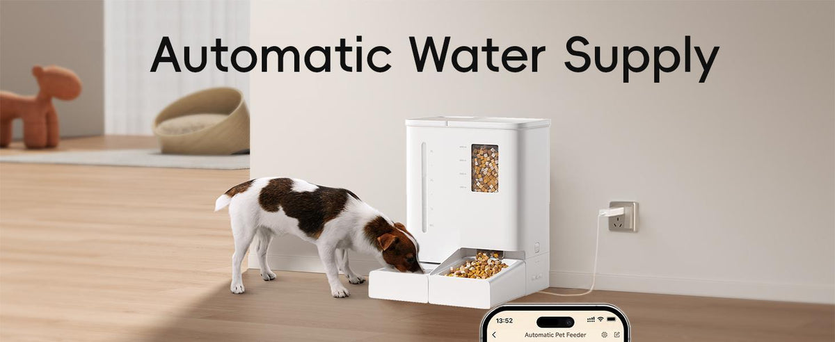Automatic cat feeder and waterer with dog eating from bowl, water tower dispenser, and mobile app control displayed on smartp