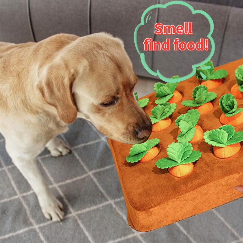 Carrot puzzle mat for dogs with plush hide-and-seek game; golden Lab using nose to find hidden treats among fabric vegetables