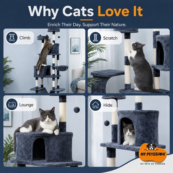 Cat tree with multiple features like climb, scratch, lounge, and hide, with text 'Why Cats Love It' and 'My Pet's Passion' logo.