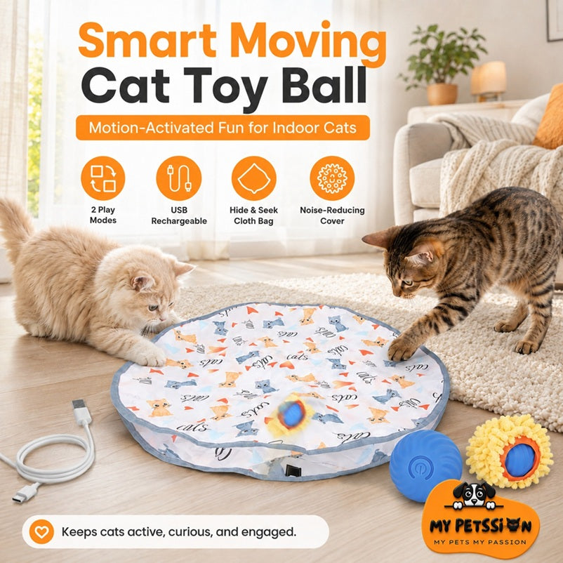 Smart moving cat toy ball with cats playing on a rug in a living room.
