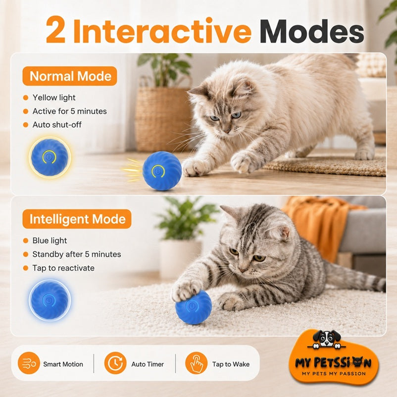 Cat playing with a blue ball, showcasing interactive modes on a branded background.