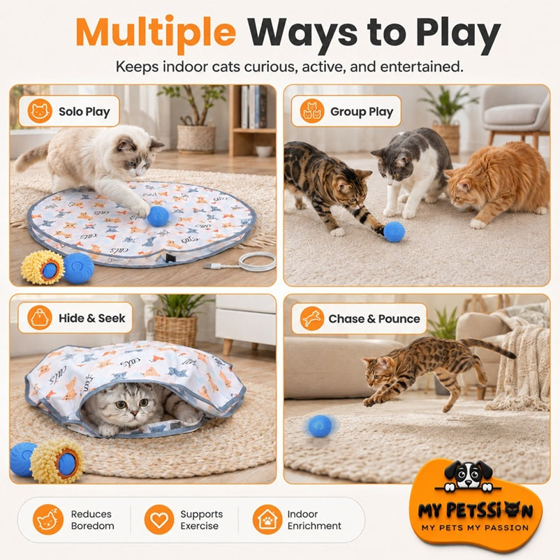 Cat toys and activities with text on multiple ways to play for indoor cats.