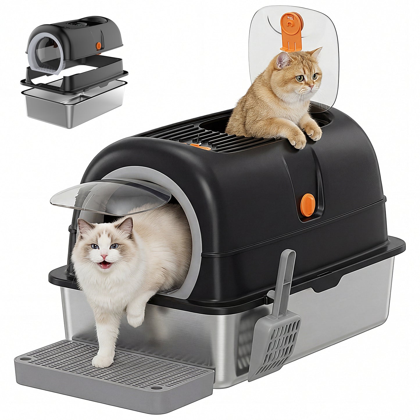 Pet litter box with two cats inside on a white background