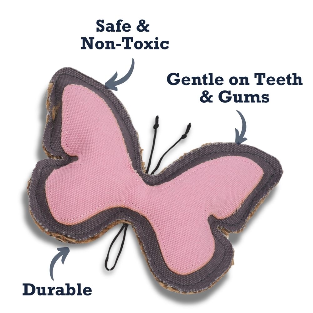 Butterfly Canvas & Jute Dog Chew Toy