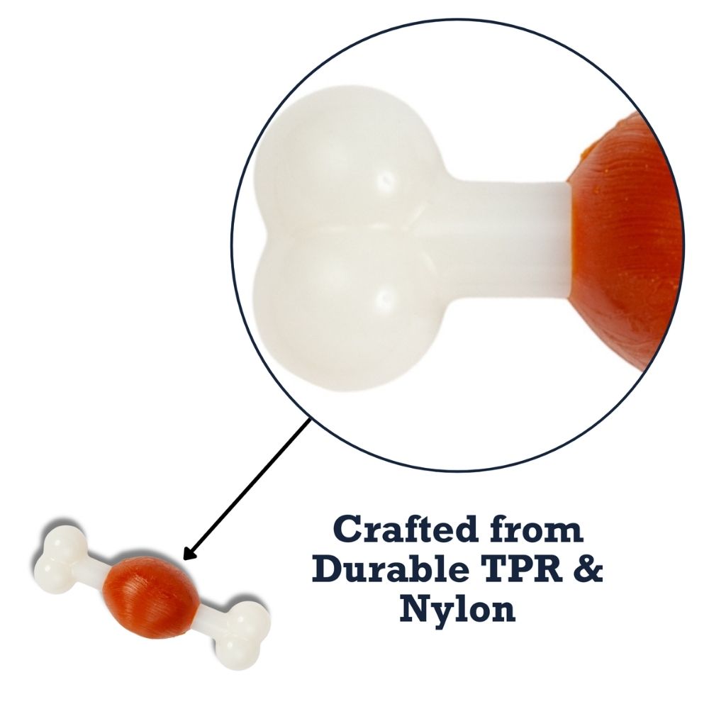 Beef-Flavored TPR & Nylon Bone Chew Toy, Small Dogs
