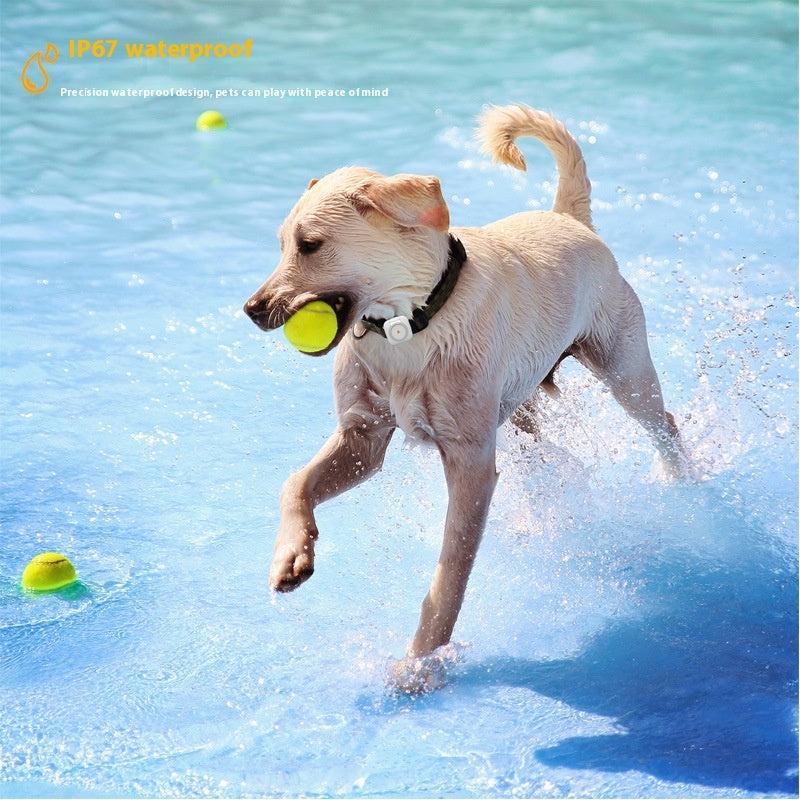 Dog playing with a ball in water, with 'IP67 waterproof' text at the top.