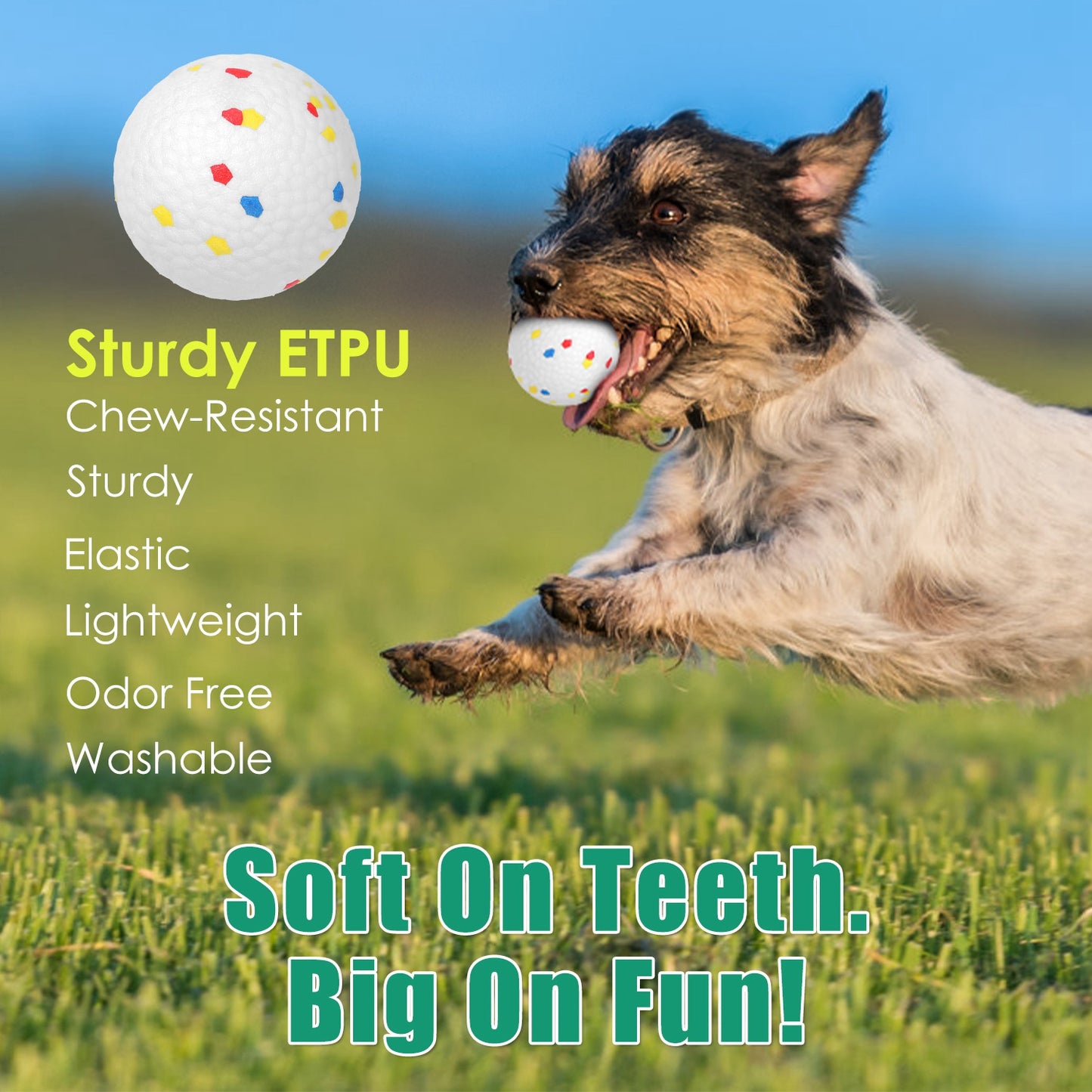 Dog ball launcher toy with colorful polka dots, held in jumping dog's mouth outdoors on grass.