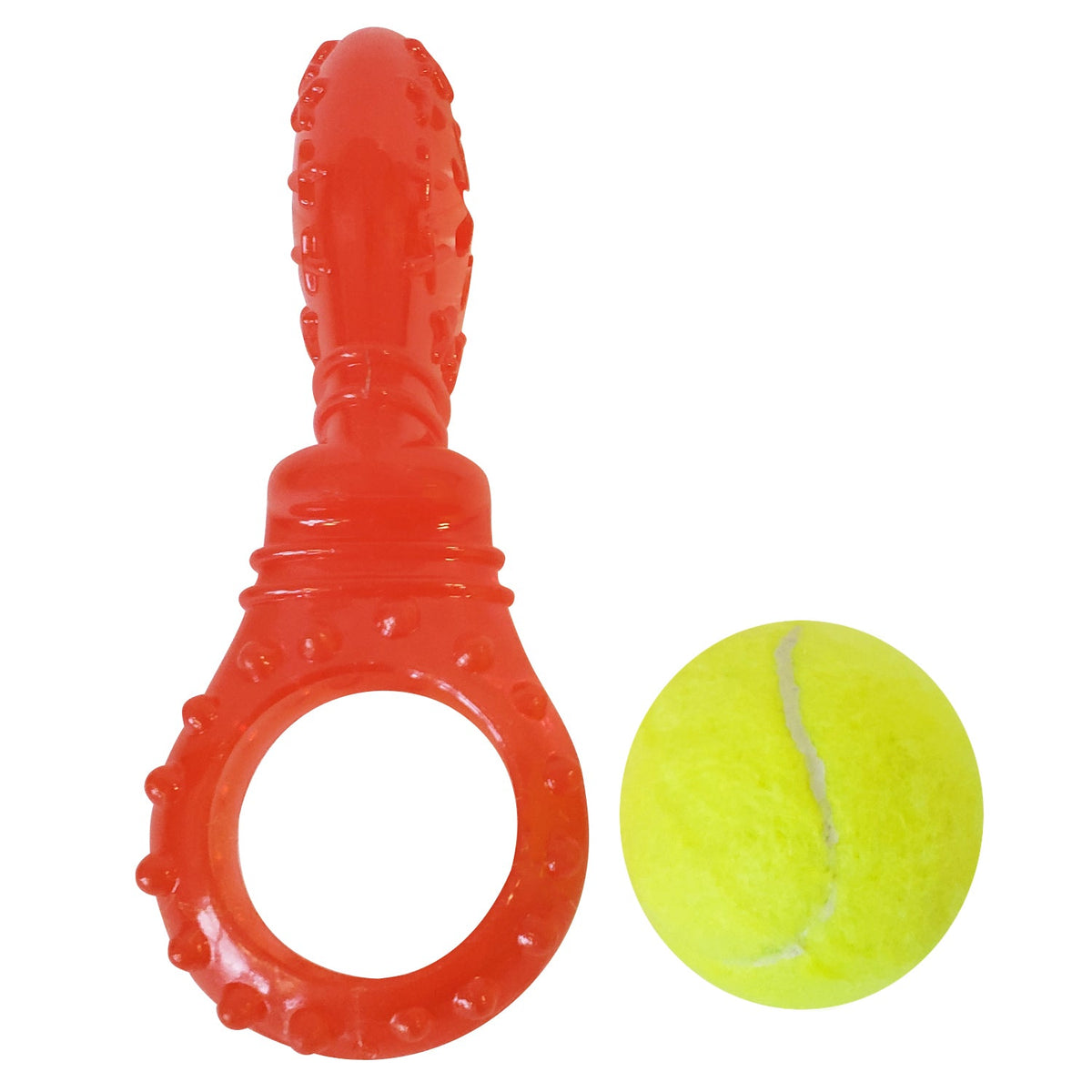 Interactive TPR Dog Chew Toy with Squeaker Ball
