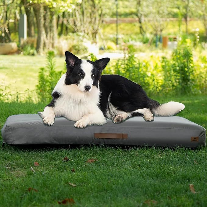 Inflatable Travel Dog Bed | Portable & Waterproof | My Petssion