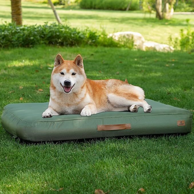 Inflatable Travel Dog Bed | Portable & Waterproof | My Petssion