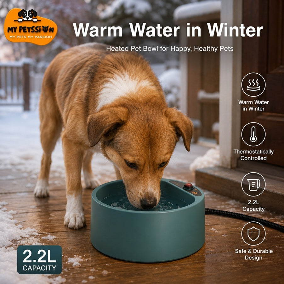 Dog drinking from a heated pet bowl on a snowy deck with promotional text about the product.