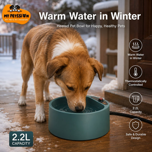 Dog drinking from a heated pet bowl on a snowy deck with promotional text about the product.