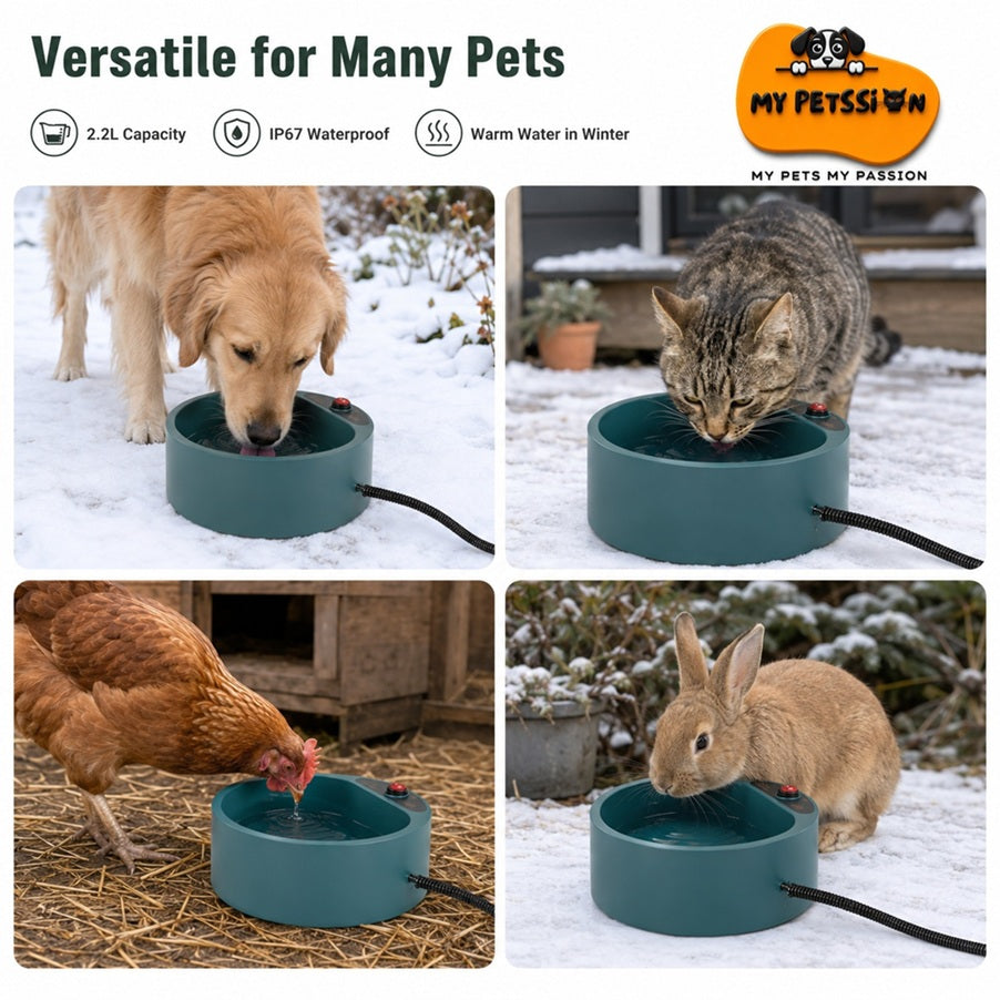 Pet water bowl being used by a dog, cat, chicken, and rabbit in various outdoor settings.