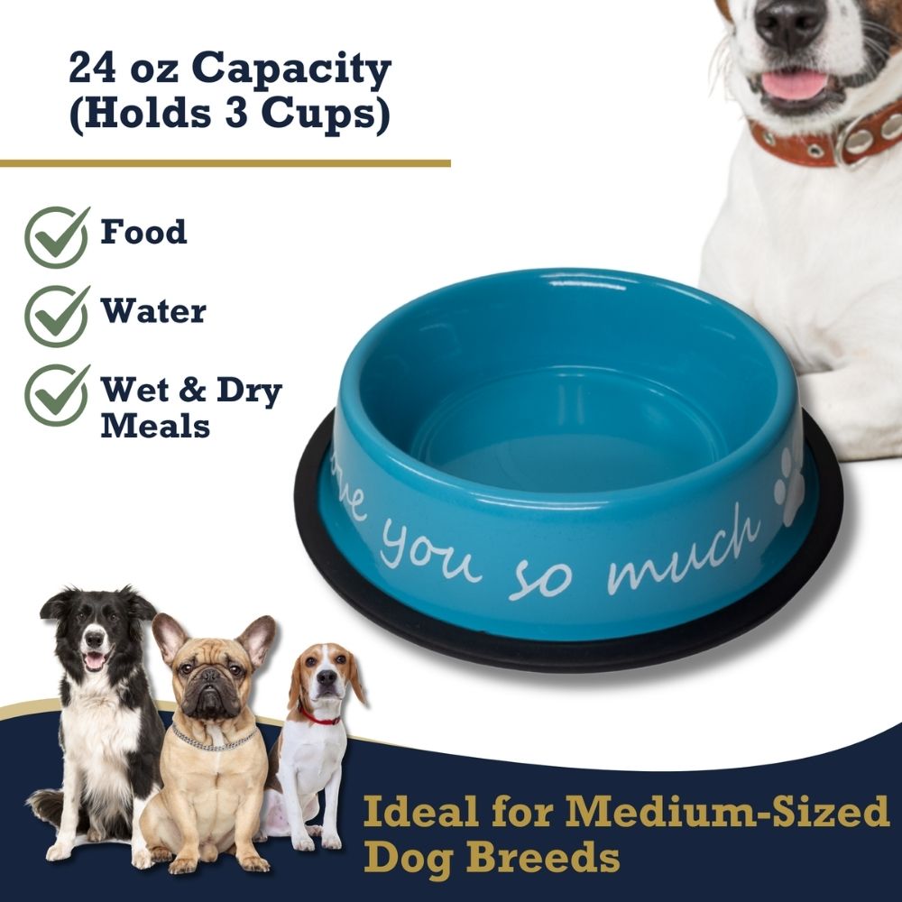 I Love You So Much Stainless Steel Dog Bowl, 24 oz