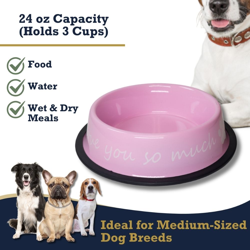I Love You So Much Stainless Steel Dog Bowl, 24 oz
