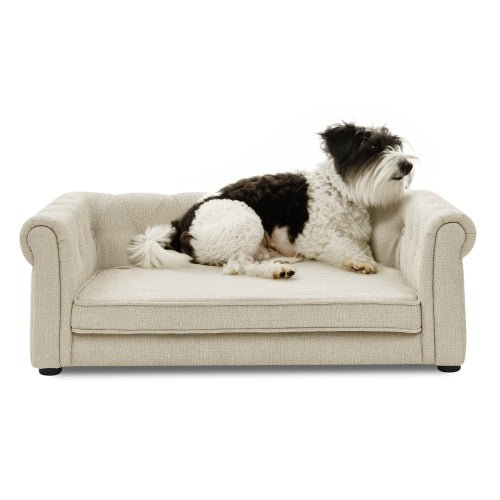Black and white dog resting on beige luxury dog bed with rolled arms, showcasing plush comfort design.