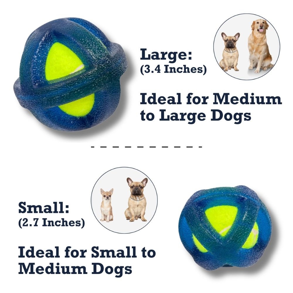 TPR-Coated Agility Tennis Ball Dog Toy, Small & Large