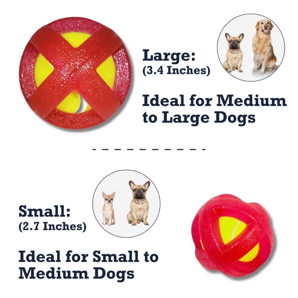 TPR-Coated Agility Tennis Ball Dog Toy, Small & Large