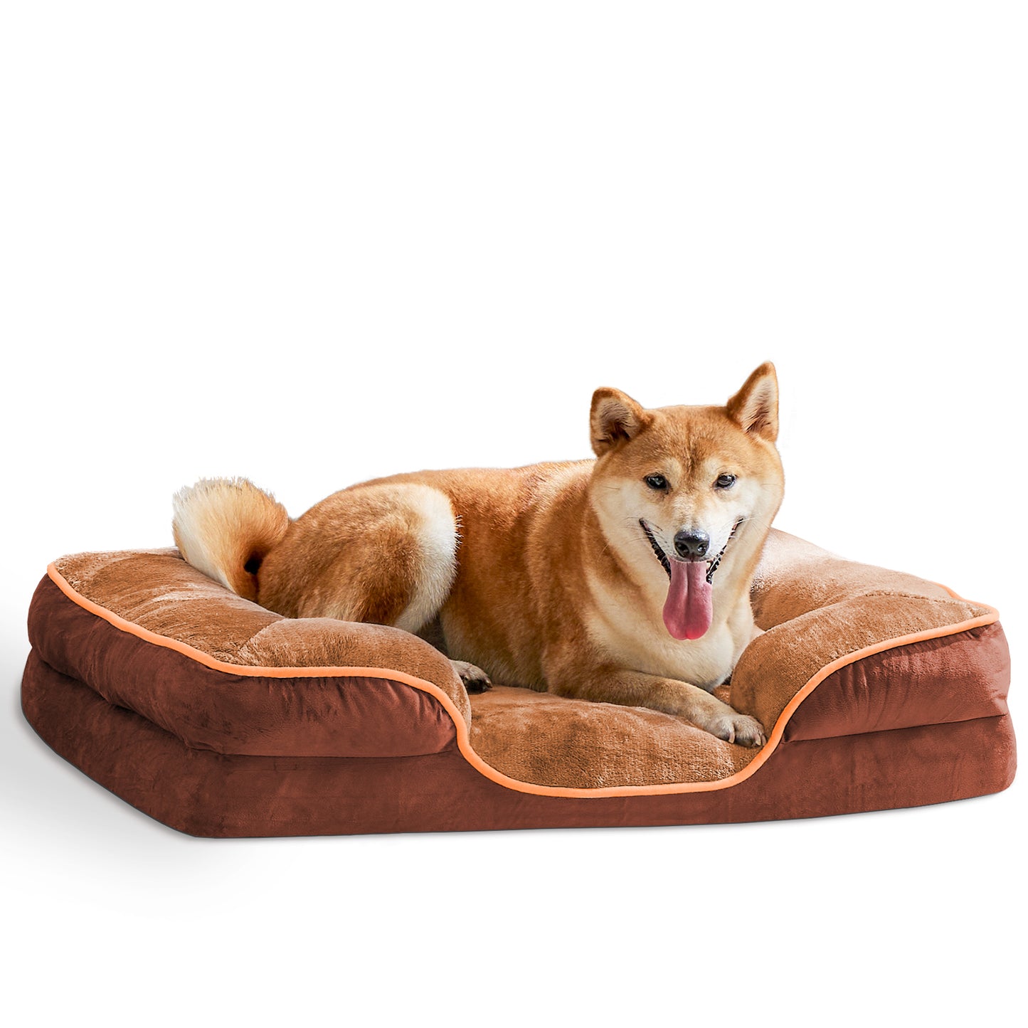 Shiba Inu relaxing on brown orthopedic memory foam dog bed with waterproof cover