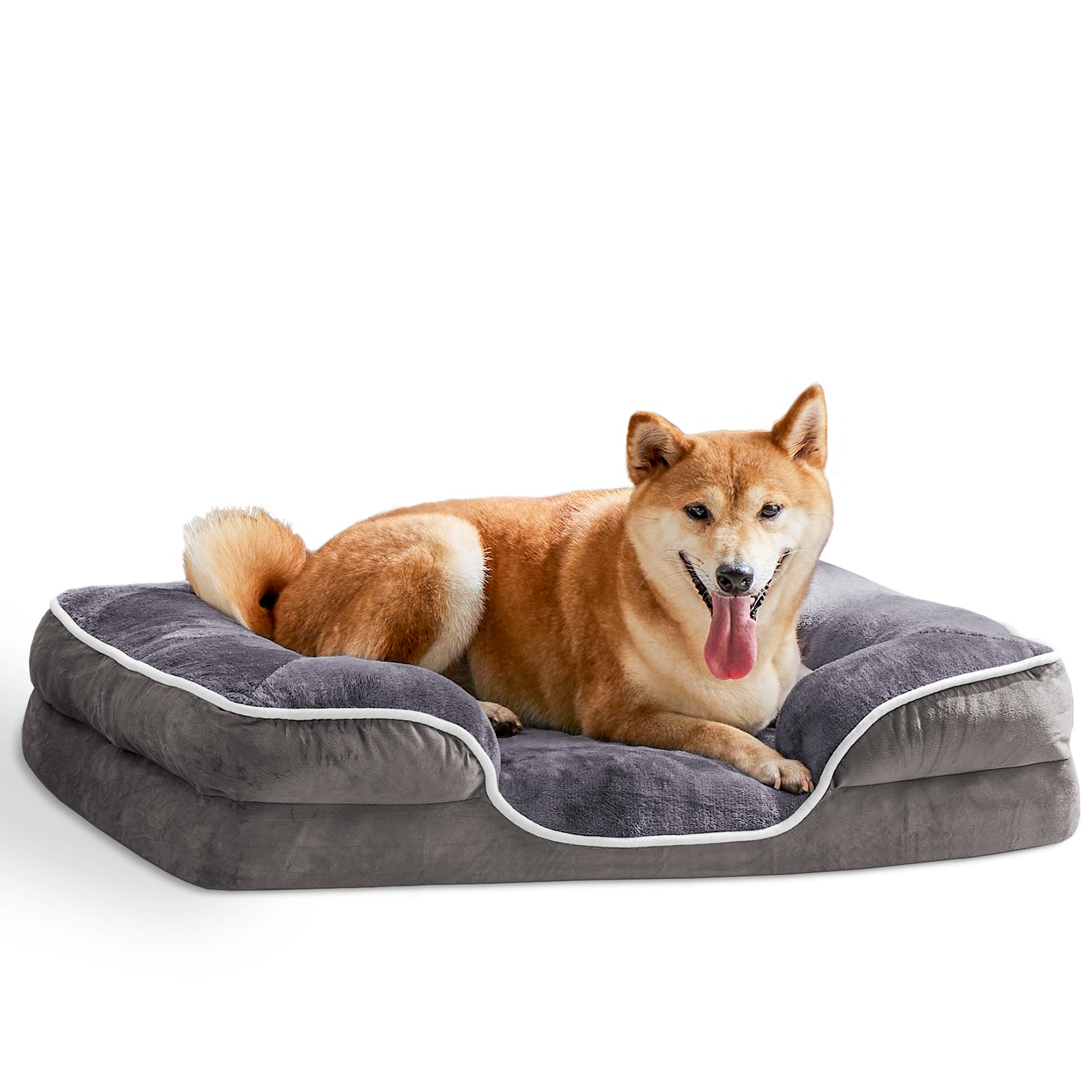 Shiba Inu resting on gray orthopedic memory foam dog bed with white trim