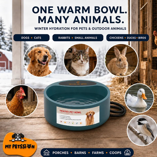 A teal heated pet bowl with a black hose, shown on a wooden surface in a barn-like setting. The image includes multiple animal photos (dog, cat, rabbit, chicken, duck, bird) and marketing text about winter hydration for pets and outdoor animals.